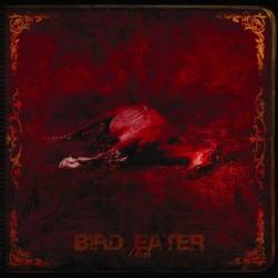 Bird Eater : Utah Bird Eater : Utah